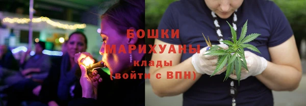 ГАЛЛЮЦИНОГЕННЫЕ ГРИБЫ Богородицк