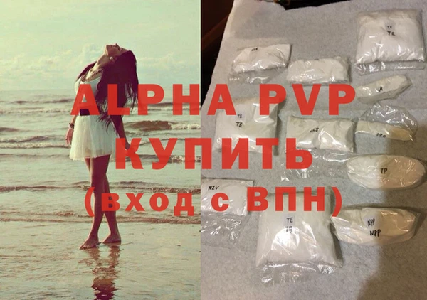 ешки Богданович