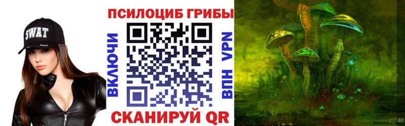 Псилоцибиновые грибы GOLDEN TEACHER  Минеральные Воды 