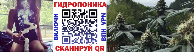 кракен вход  Минеральные Воды  Шишки марихуана конопля 